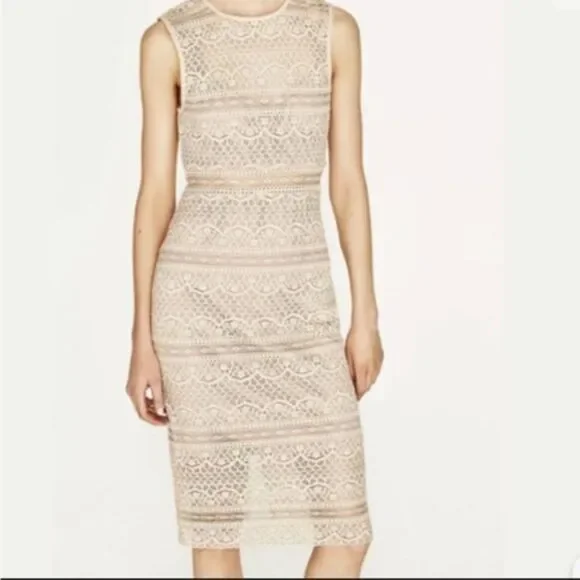 Zara | Dresses | Zara Semisheer Lace Midi Dress Womens M Cream Nude Bodycon  Minimalist Euc | Poshmark